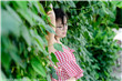 灵与欲qvod