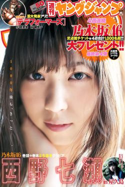 金瓶双艳完整版