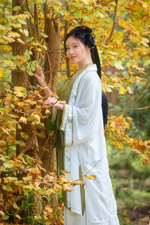 《溺爱上司》动漫免费观看全集