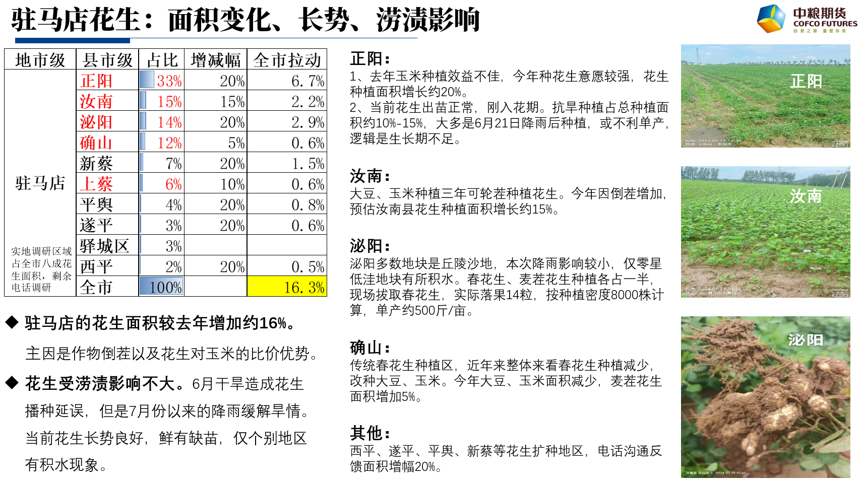河南新季花生市场形势调研分析