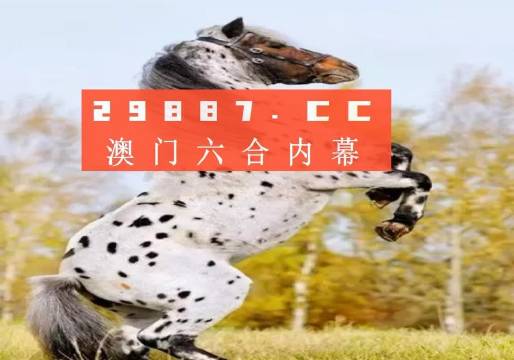 白小姐正版四不像中特小说，真实解答解释落实_V69.36.63