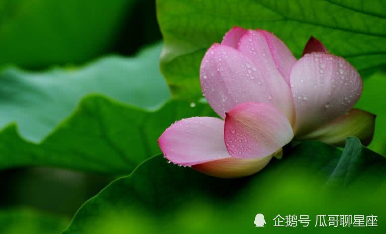 林孟茜 第5页