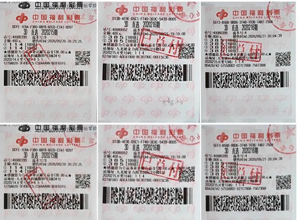 2024澳门天天彩免费，最新解答解释落实_3D50.87.29