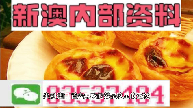 2024新澳门精准正版资料大全，专家解答解释落实_3DM57.40.61