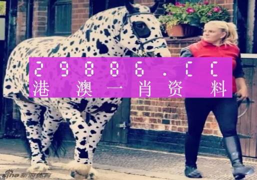 澳门王中王一肖一特一中，重点解答解释落实_iPhone26.82.58