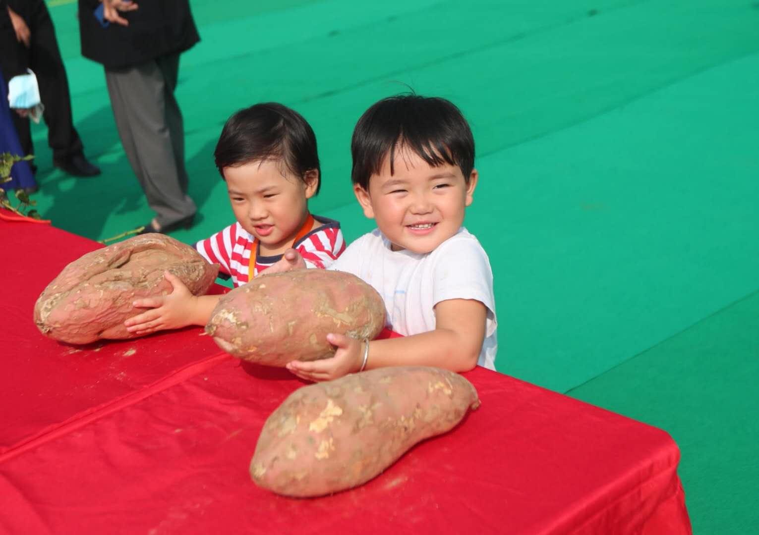 平谷夏各庄镇传统手工漏粉作坊开漏