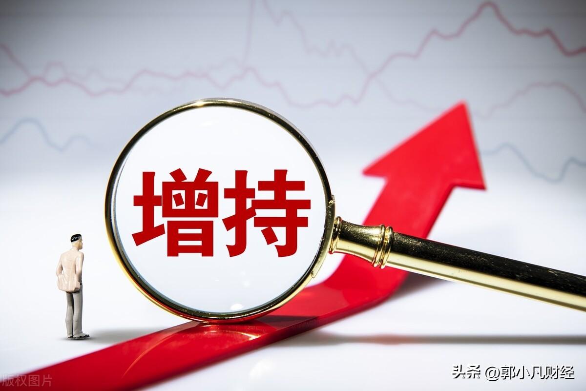 增减持公告汇总，这家公司控股股东大手笔增持，拟投入1亿至2亿元展现信心