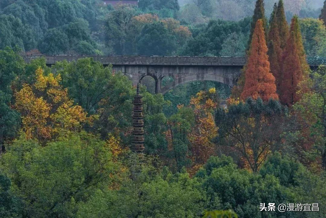 颜志嘉 第4页