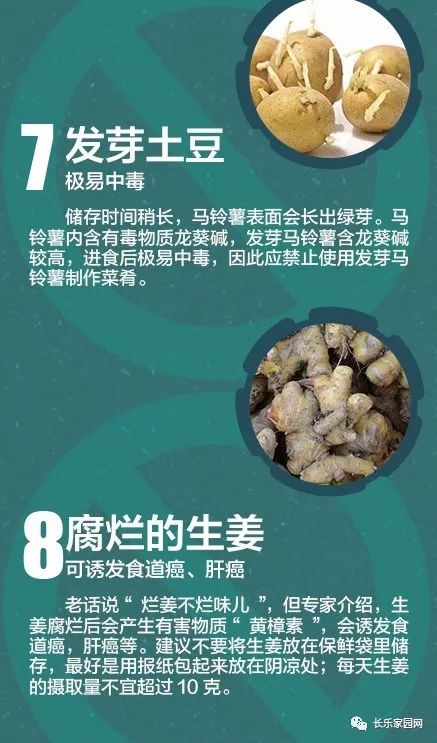 郭子扬 第4页