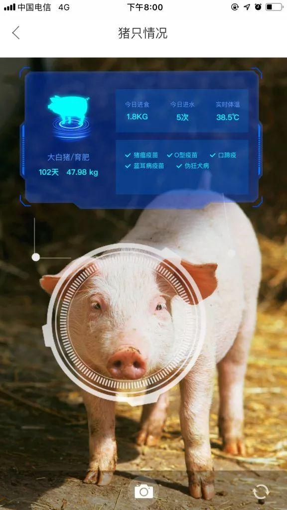 AI收入连续五季度增长，阿里高管展望接入微信支付后的用户增长前景