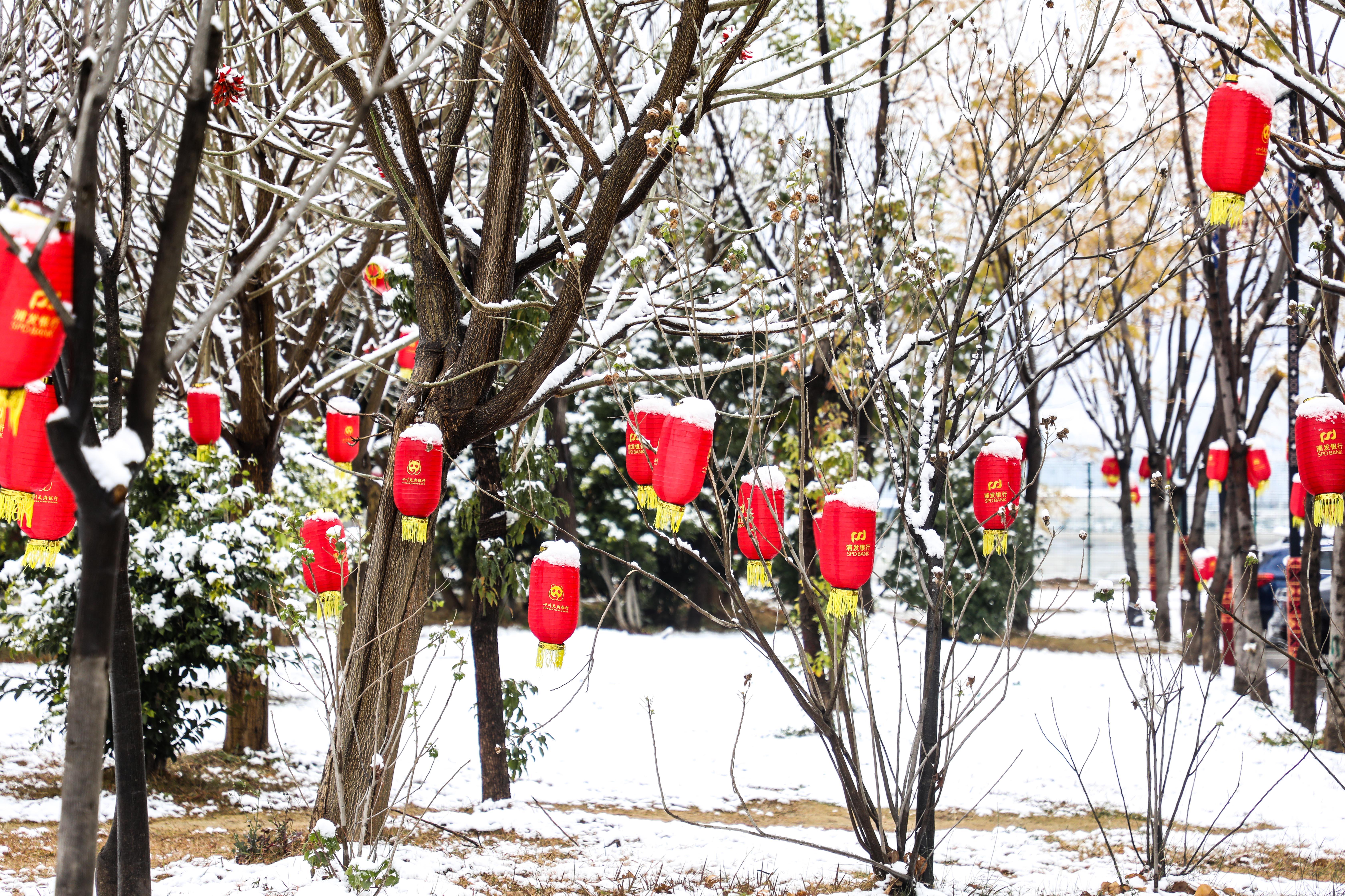 四川多地雨雪持续，未来三天伴随大风强降温天气，需警惕防范！