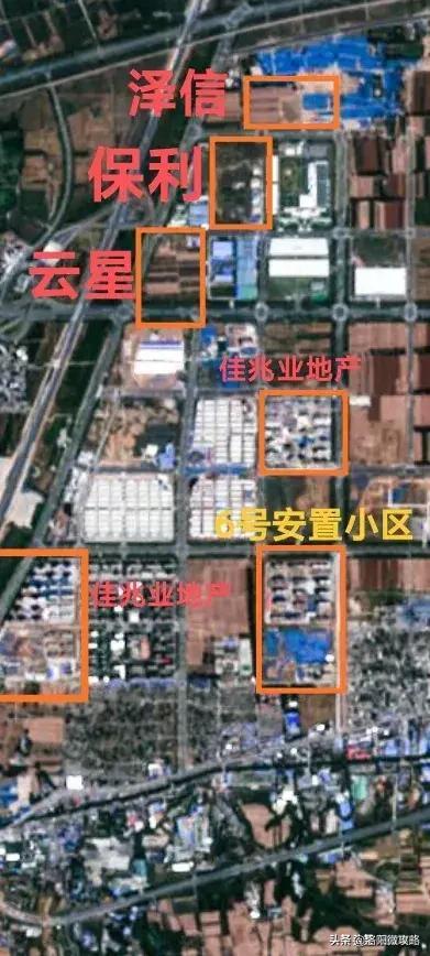 商业秘密揭秘，猪饲养员高薪背后的故事——单人管理五千头猪，年薪高达七十万