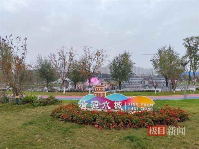 实探山西清徐违规花上千万建景观事件，剩百棵仿真椰树何去何从？