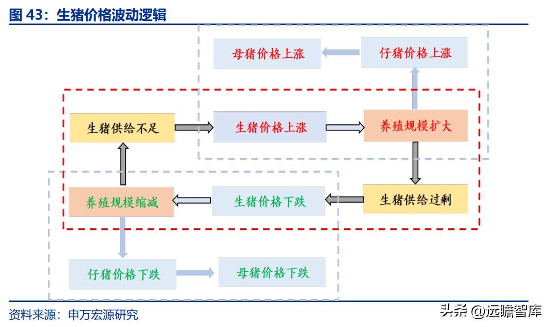 大北农集团，揭秘其生猪销售收入的强劲表现与增长潜力