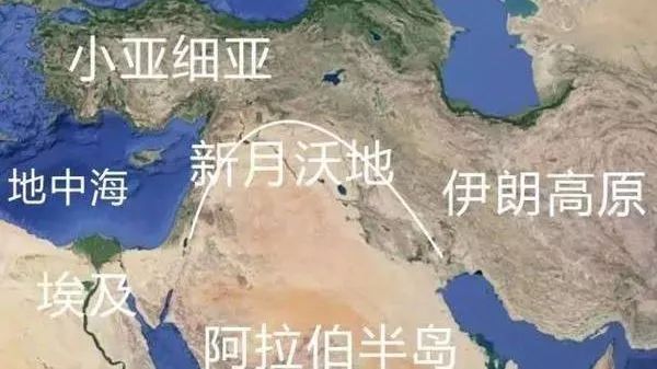 叙利亚塔尔图斯地区局势紧张升级，反政府武装进入引发关注
