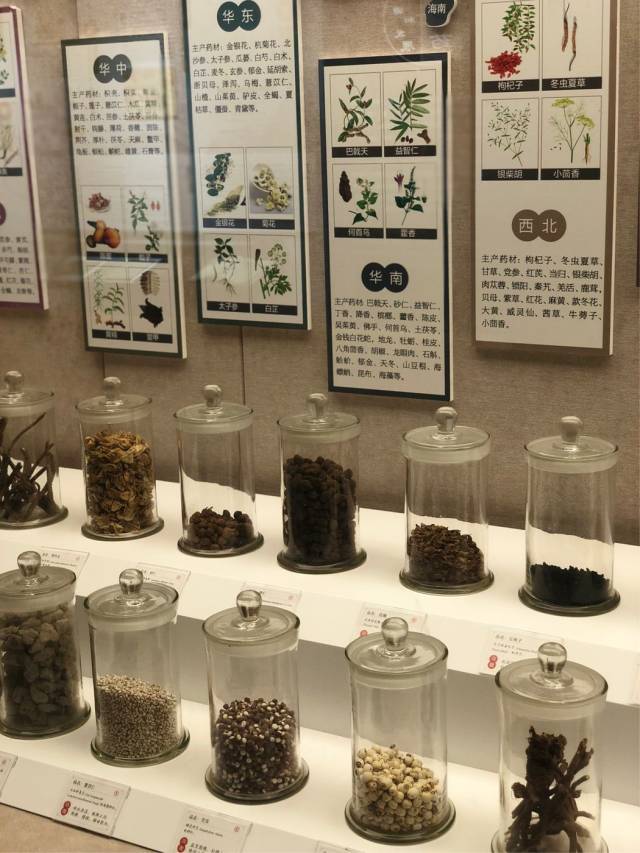 探访北京小众博物馆，中药标本收藏丰富，免费开放，带你领略中医药文化魅力