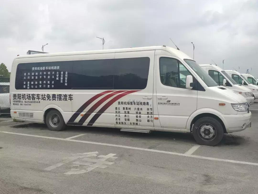 贵阳出台条例规范养犬行为，饲养犬只须植入电子标识，实现文明养犬新风尚
