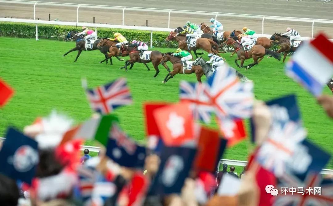 香港浪琴国际赛马大赛，浪漫勇士全球夺冠，赢得巨额奖金