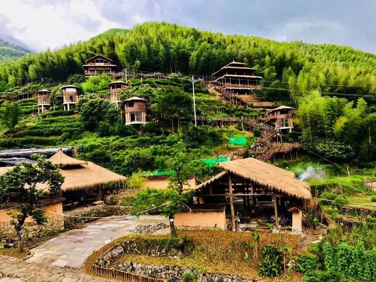 畲乡景宁，民族特色优势如何成为山村发展经？