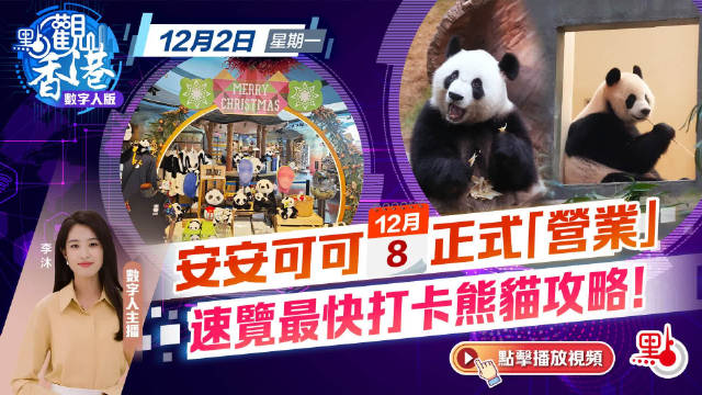 中央赠港大熊猫安安可可正式亮相香港，与公众见面