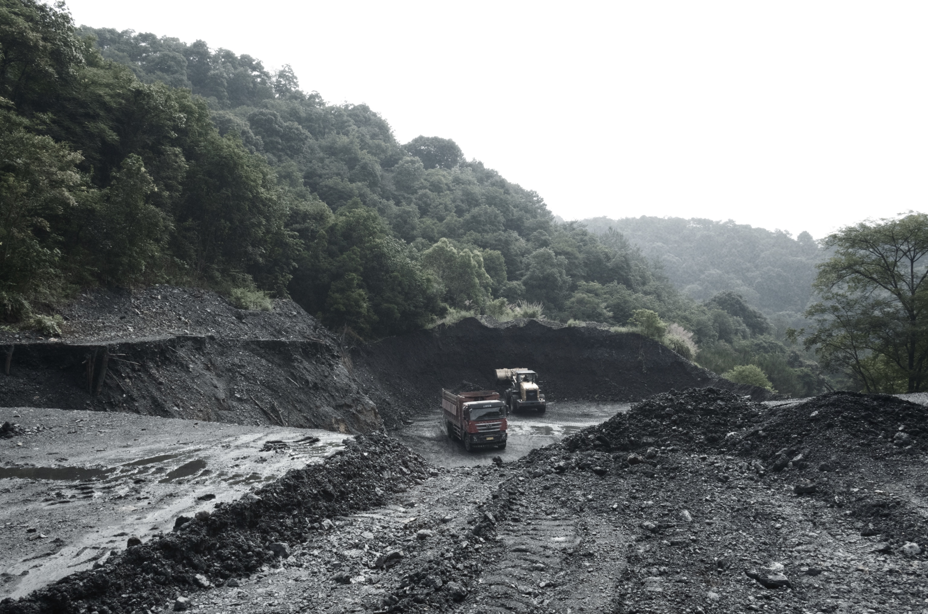 高质量发展调研行从空心村到振兴村——浙江台州岩下潘村的逆袭之路探访纪实
