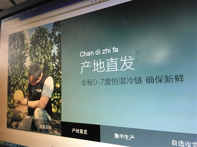 2024北京新发地电商直播消费节今日启动——探寻新消费模式，体验直播购物的魅力