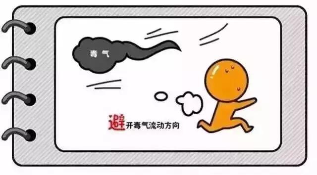 揭秘资金流向，本周主力资金撤离综合板块达10.17亿元深度分析