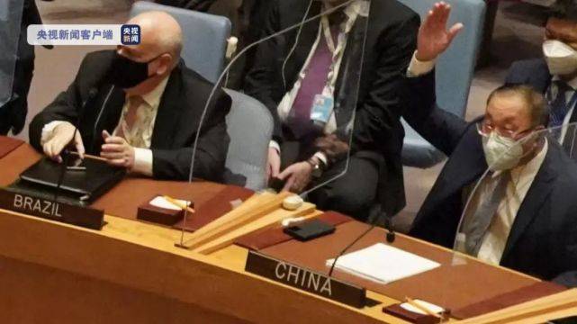 中方谈叙利亚局势，多元对话与和平解决之路