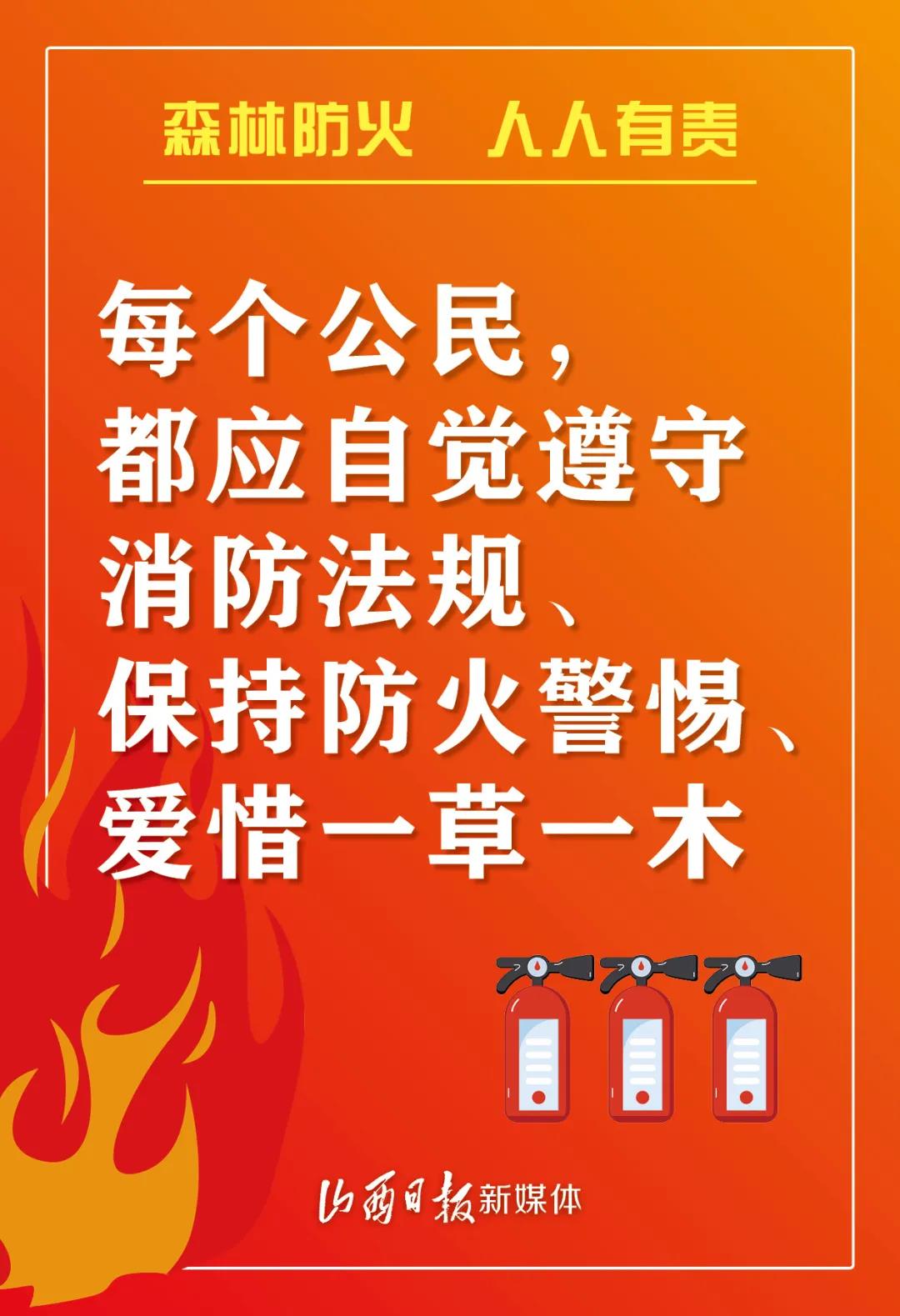 2024年12月8日，森林防火，人人有责