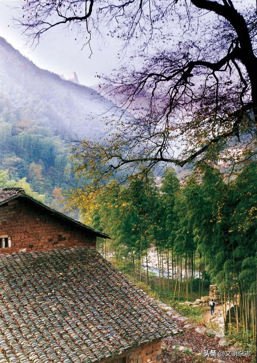 安徽潜山，为在外学子寄去家的味道