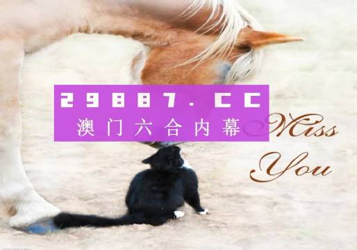 澳门4949开奖资料网站，理论解答解释落实_The95.96.42