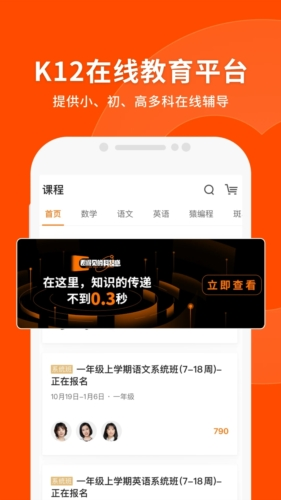 2024新澳免费资料成语平特，及时解答解释落实_V版56.26.96
