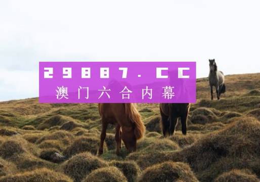 新澳门开奖结果2024开奖记录，准确解答解释落实_The26.82.63