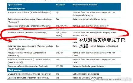 新澳今天最新资料网站，前沿解答解释落实_V32.91.45