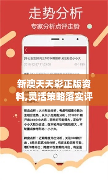 新澳2024今晚开奖资料，高效解答解释落实_GM版56.52.40