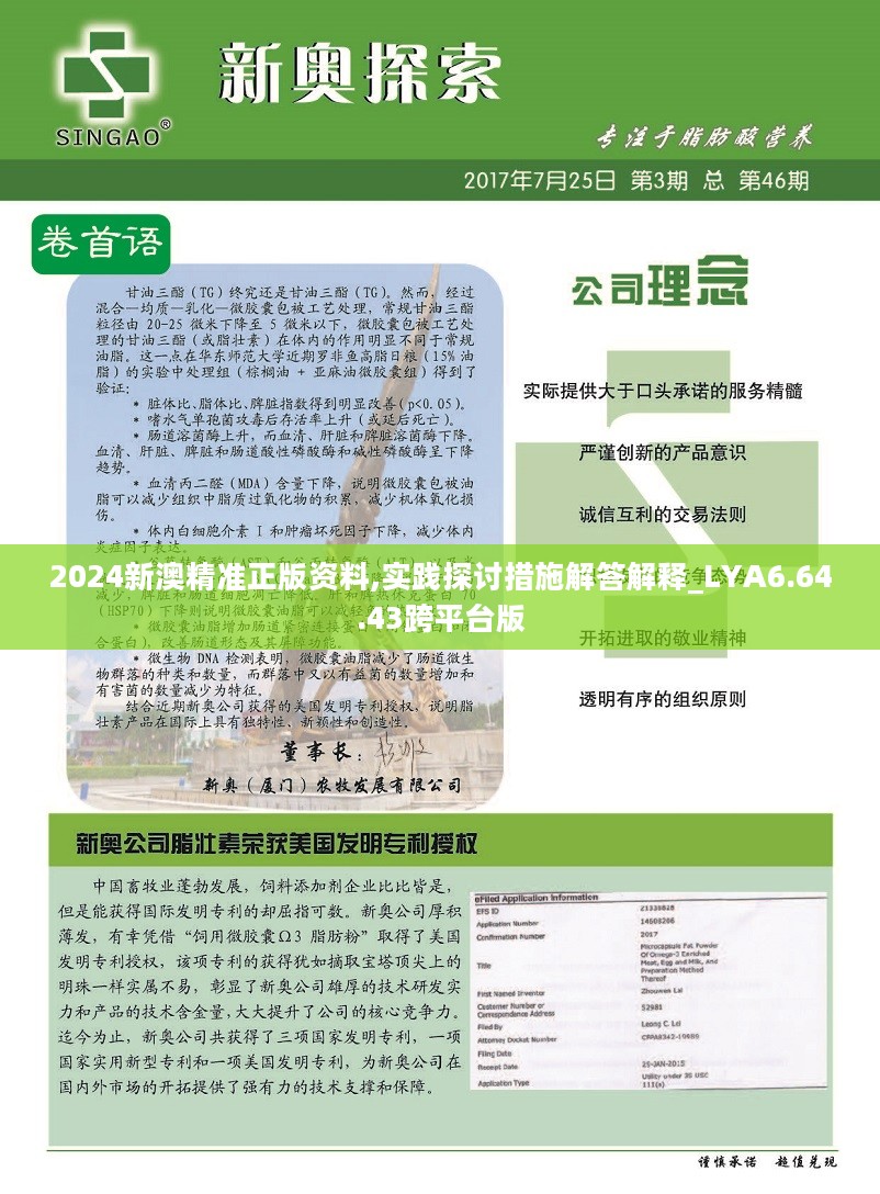 2024新澳精准正版资料，工作解答解释落实_iPad33.42.27