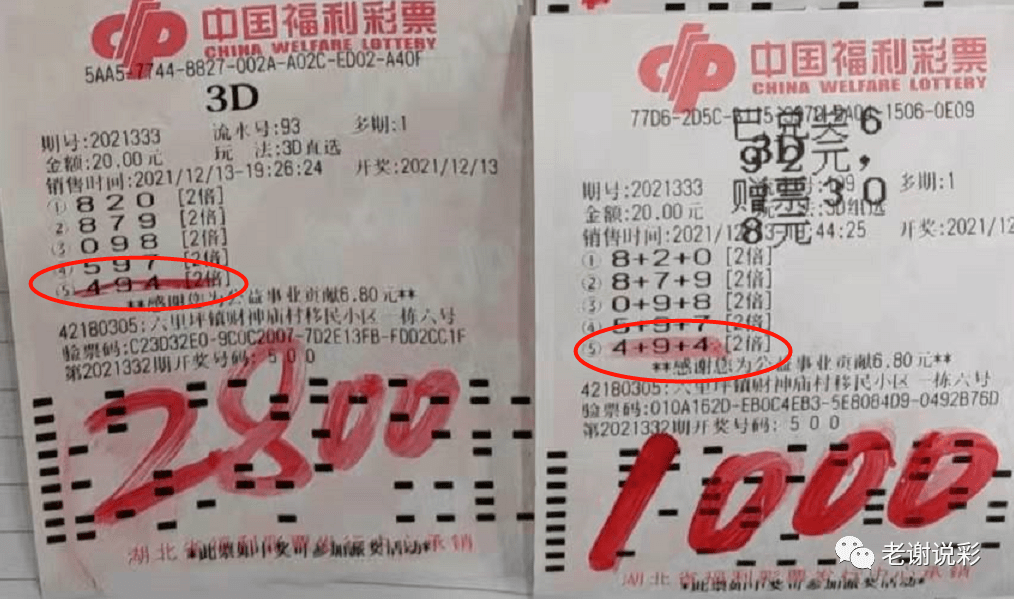 2004新澳门天天开好彩大全正版，深度解答解释落实_3D80.41.46