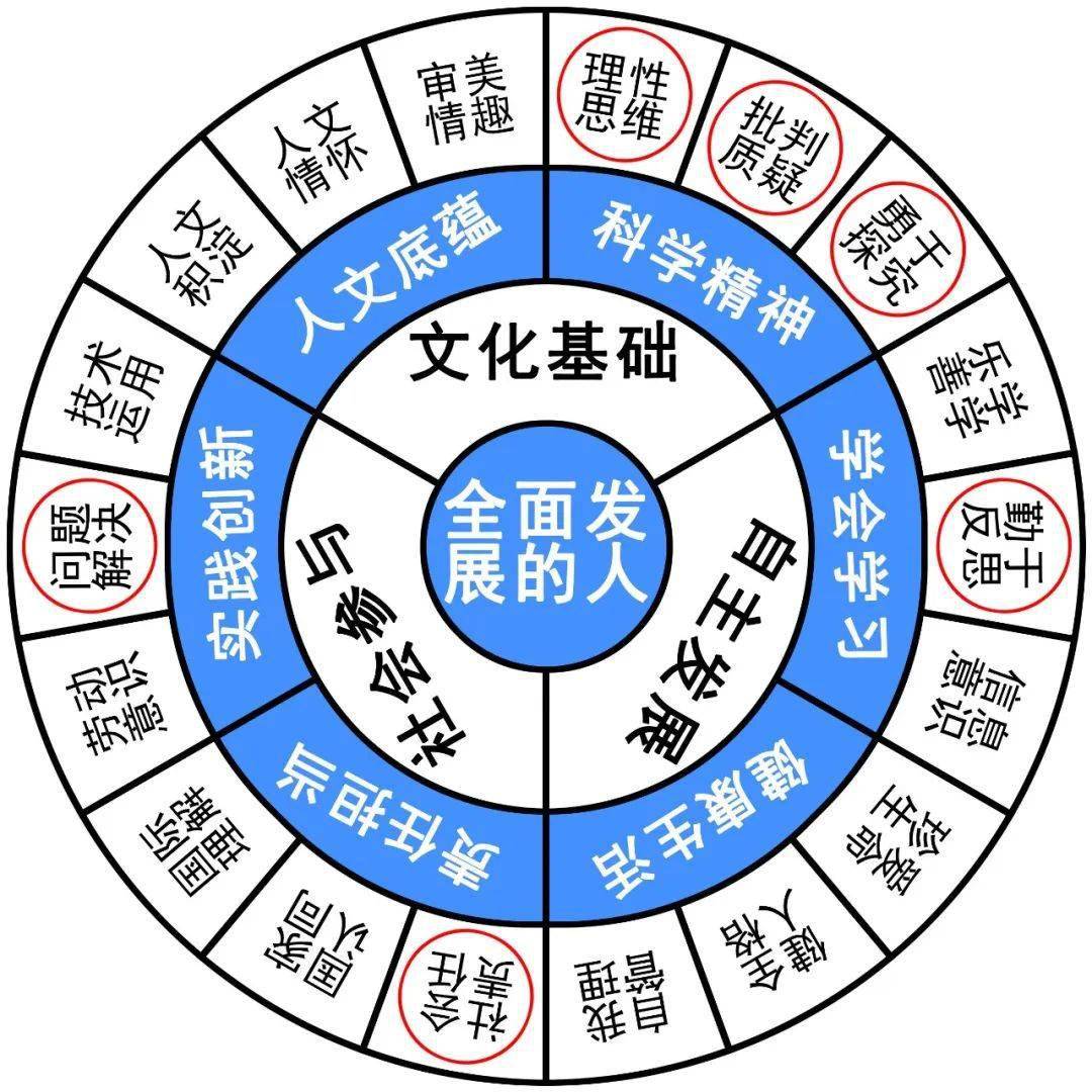 2024年12月14日 第15页