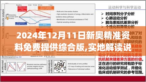 2024新奥资料免费精准051|精选解释解析落实