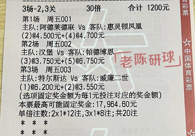 2024澳门特马今晚开奖|精选解释解析落实