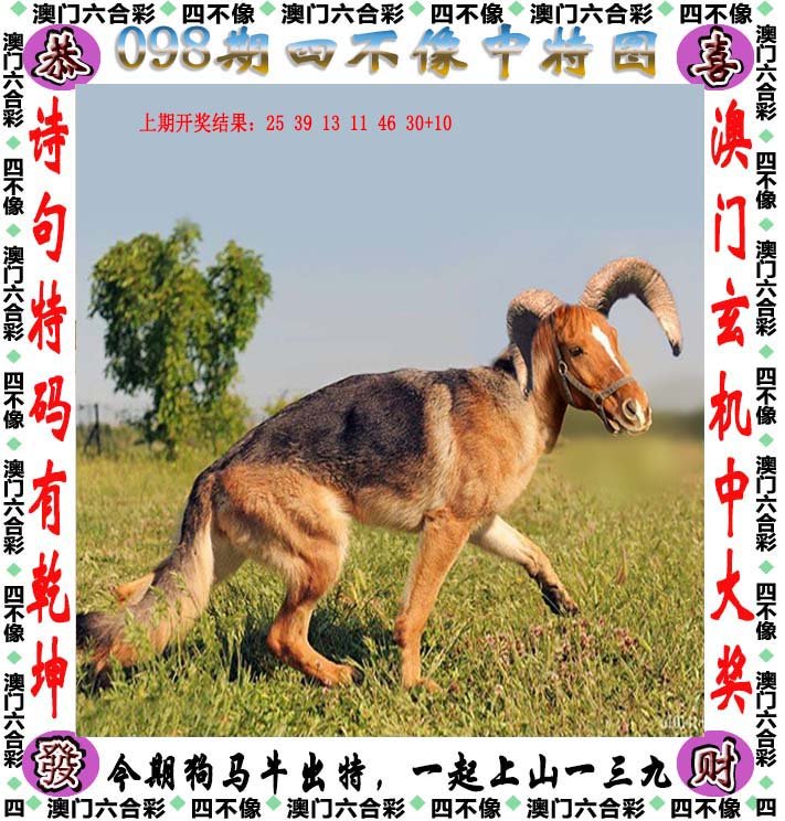 澳门最准四不像2024|精选解释解析落实