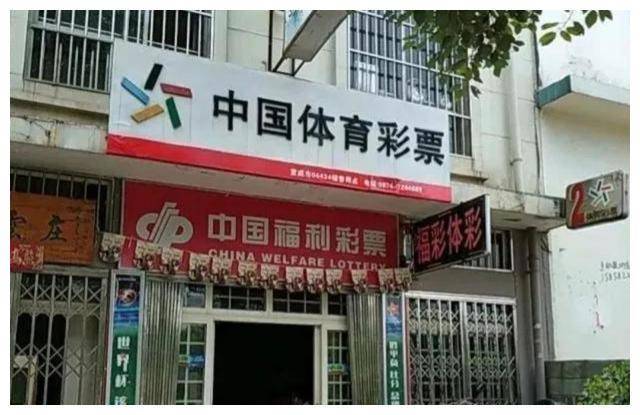 2024澳彩开奖记录查询表|精选解释解析落实