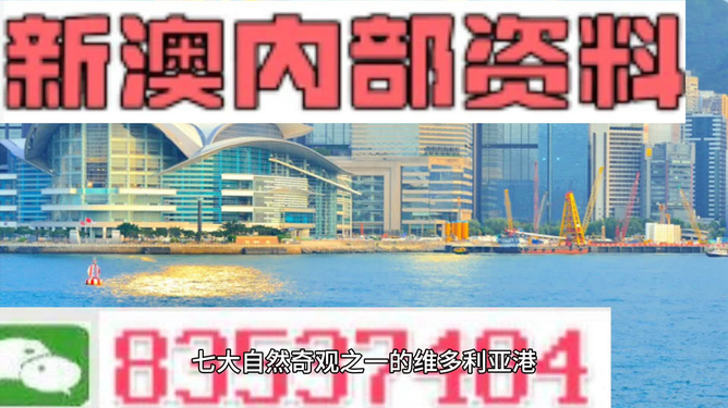 新澳2024年精准资料|精选解释解析落实