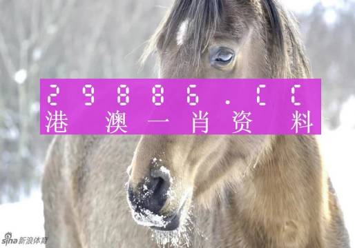 澳门一肖一码100‰特|精选解释解析落实