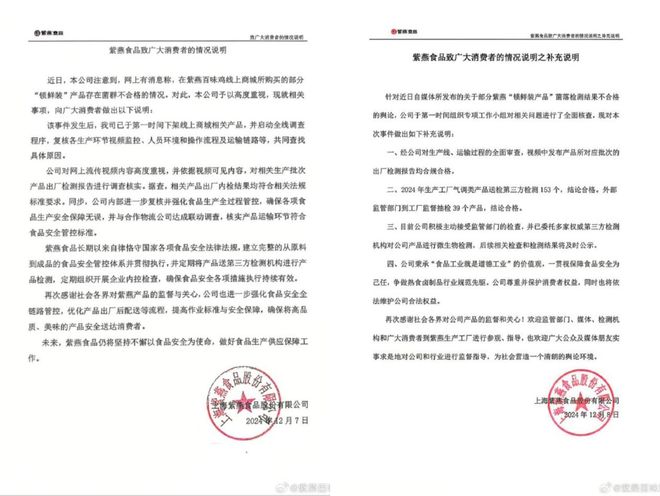 紫燕食品质量核查专项行动，深入探究，确保食品安全无忧
