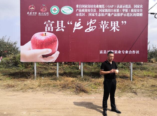 甘肃灵台，东西部协作助力小苹果成就大产业