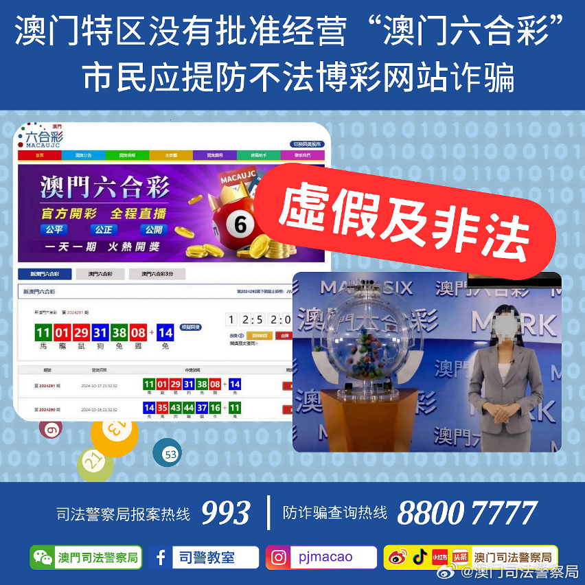 2024澳门精准正版资料|精选解释解析落实