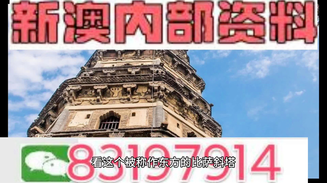 2024澳门免费精准资料|精选解释解析落实