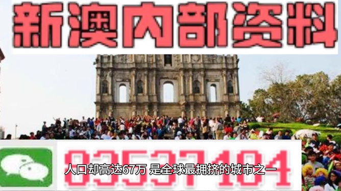 新澳门内部正版资料大全|精选解释解析落实