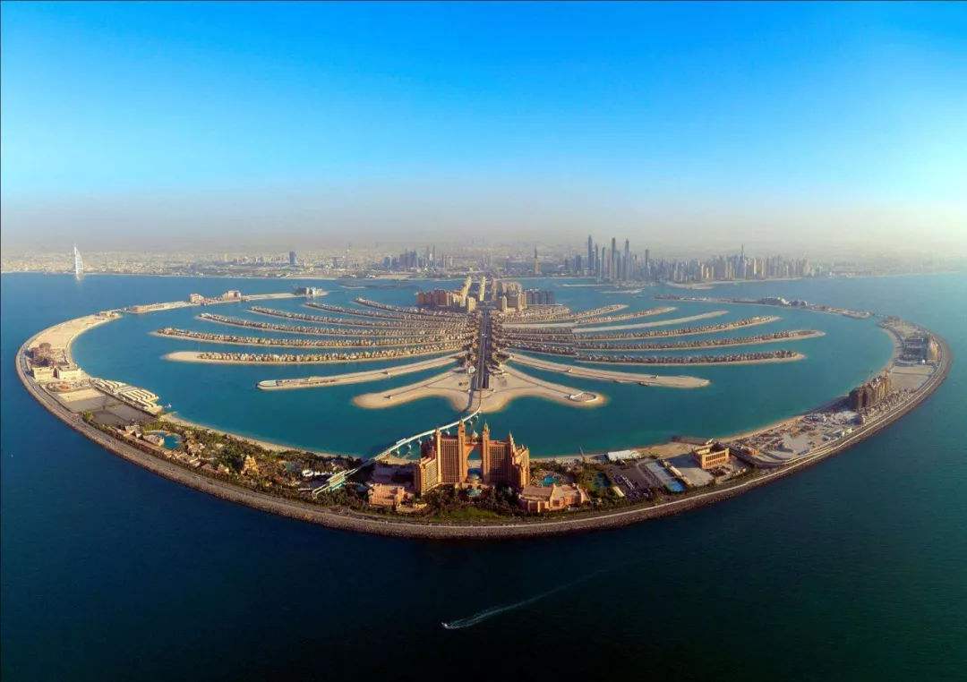 阿联酋视角下的叙利亚领土完整与极端主义威胁，深度解析与关注焦点